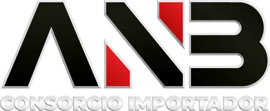 Consorcio Importador Aising & NB S.A.C